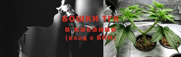 apvp Вяземский