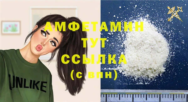 apvp Вяземский
