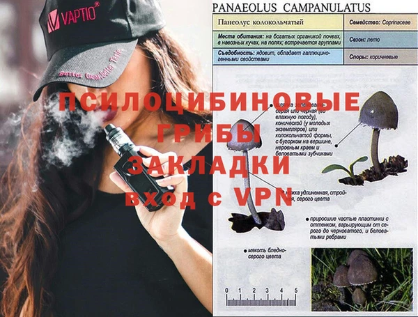 apvp Вяземский