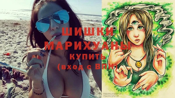 apvp Вяземский