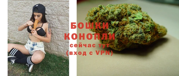 apvp Вяземский