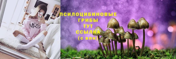 эйфоретик Вязники